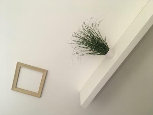 Apartamento Gite Du Ch�teau Du Spesbourg