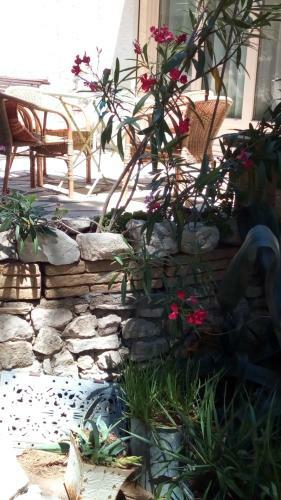Bed & Breakfast La Petite Maison Dans Les Pins