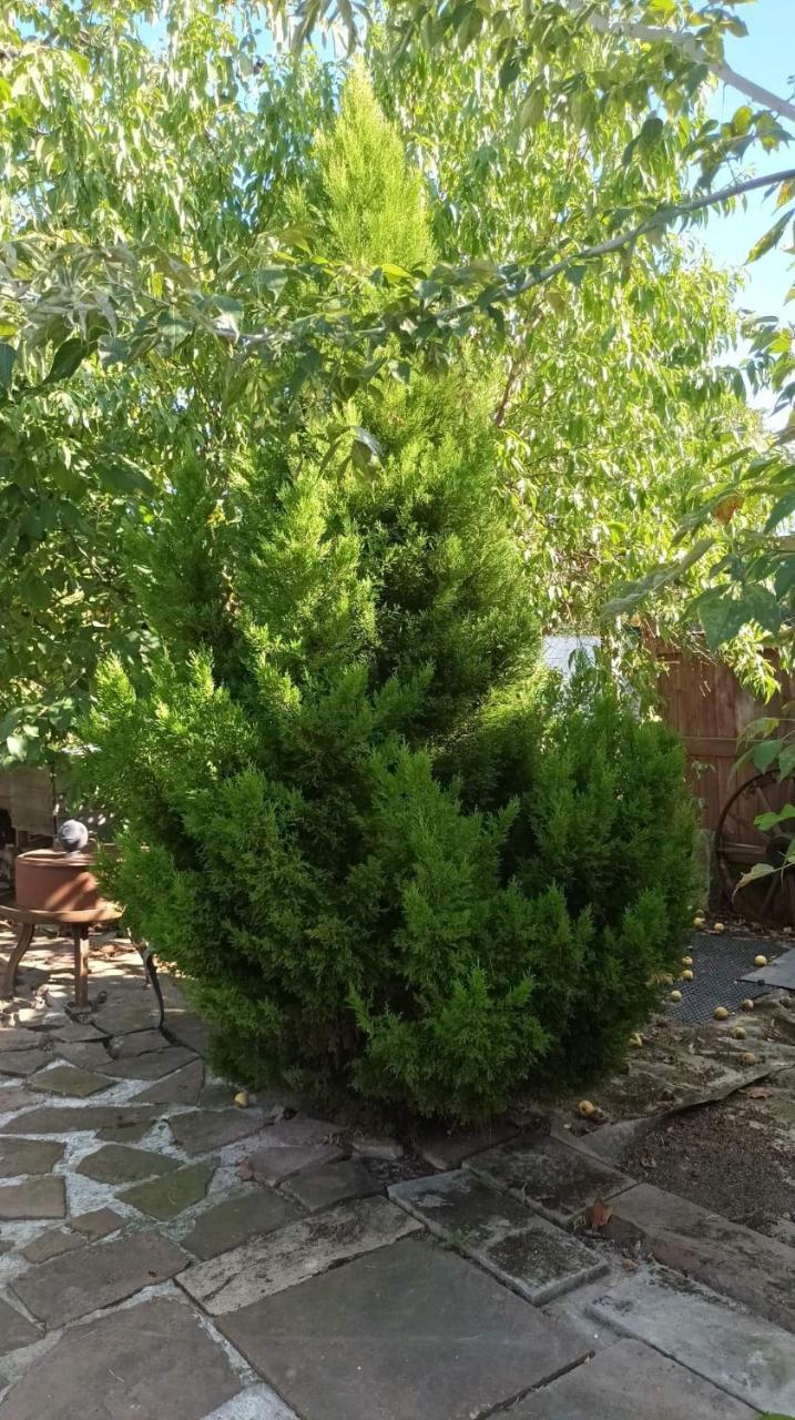 Apartamento Garden Duplex