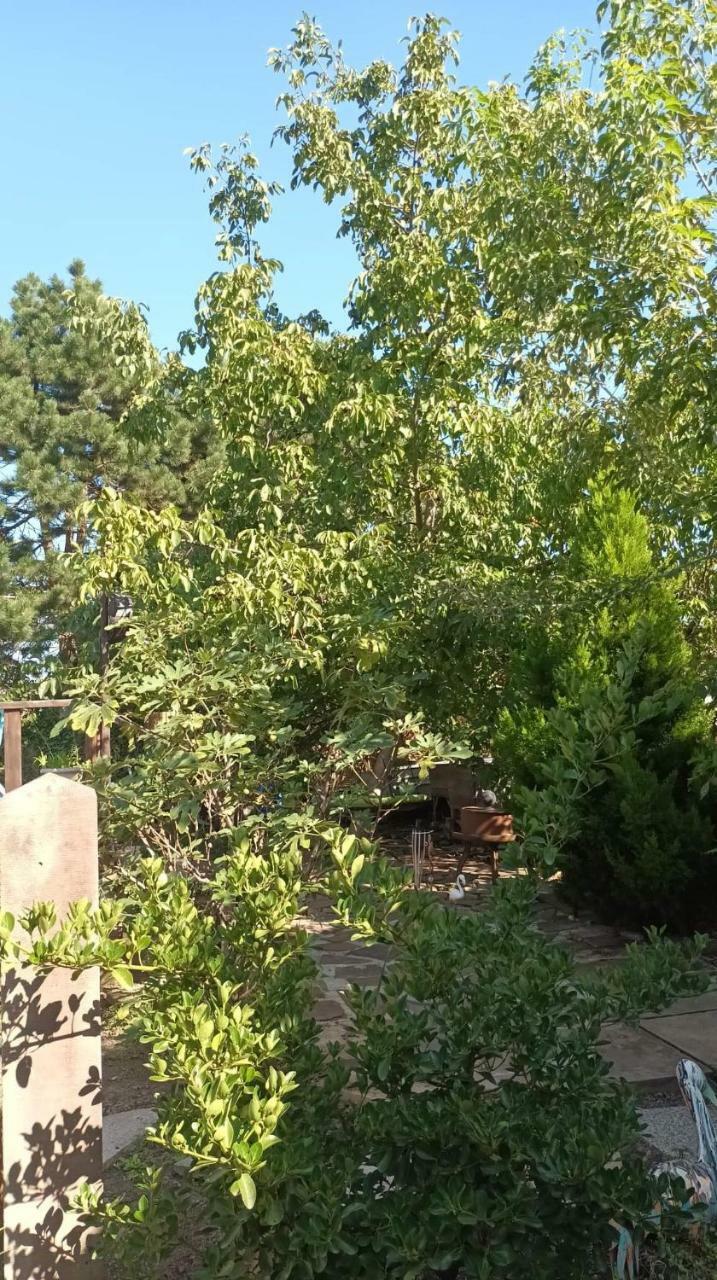 Apartamento Garden Duplex