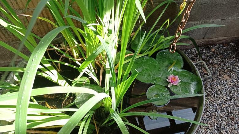 Apartamento Garden Duplex