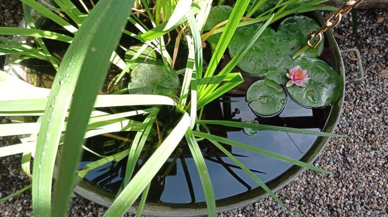 Apartamento Garden Duplex