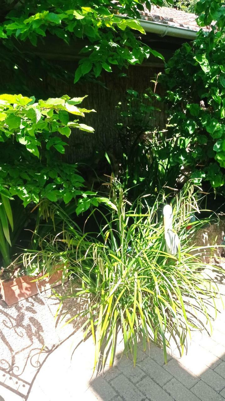 Apartamento Garden Duplex