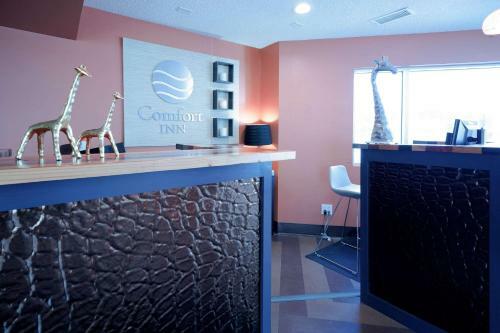 Hotel Comfort Inn At The Zoo Omaha
