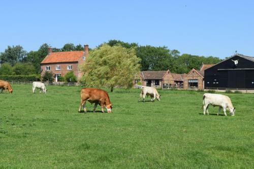Agroturismo At The Farmhouse, Hunters Hall