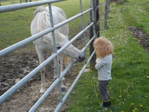 G�te Et Relais Equestre De Marie
