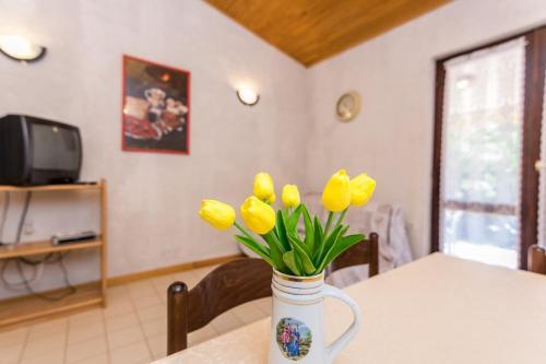 Apartment Privlaka 1