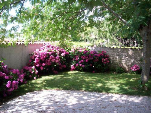 Bed & Breakfast Le Petit Massigny