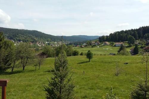 Charming Chalet With Garden In Xonrupt-longemer
