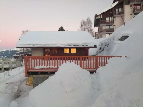 Chalet La Plagne Montalbert Pied Des Pistes