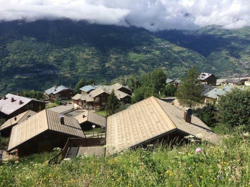 Chalet La Plagne Montalbert Pied Des Pistes