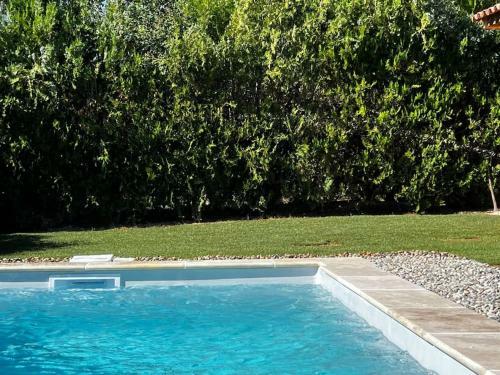 Villa Jungle House