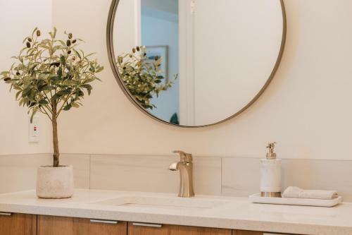 Hostal Olive Tree Guest Suite