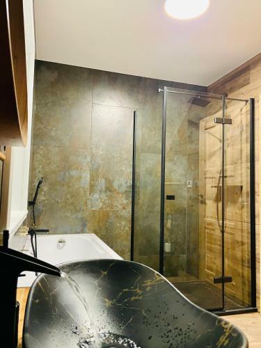 Apartamento Borov� Lada Roubenka Meandra - Studio