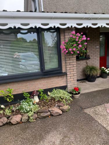 Apartamento Accommodation In Blarney Village