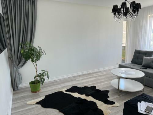 Apartamento Modernus 1 Kambario Butas
