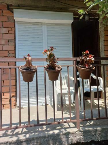 Apartamento Filoski