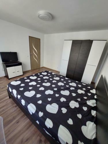 Apartament Central