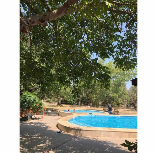 Villa Luxury Farmhouse In Aydin Province, Turkey