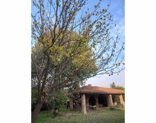 Villa Luxury Farmhouse In Aydin Province, Turkey
