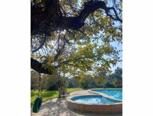 Villa Luxury Farmhouse In Aydin Province, Turkey