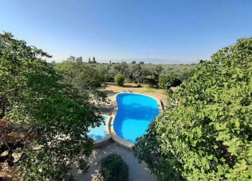 Villa Luxury Farmhouse In Aydin Province, Turkey