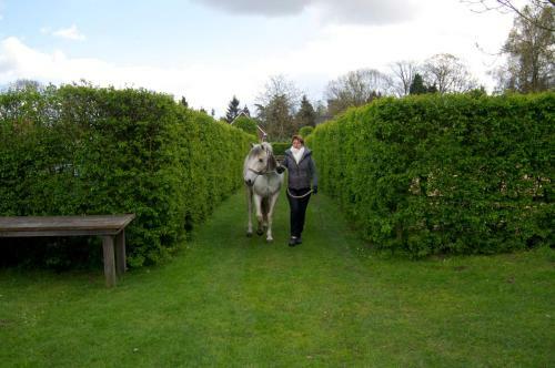 B&B Maarle