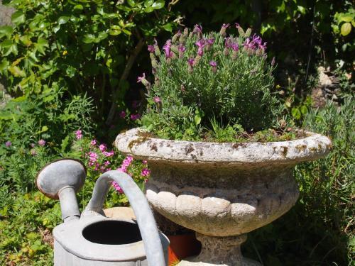 Bed & Breakfast Manoir De Pommery