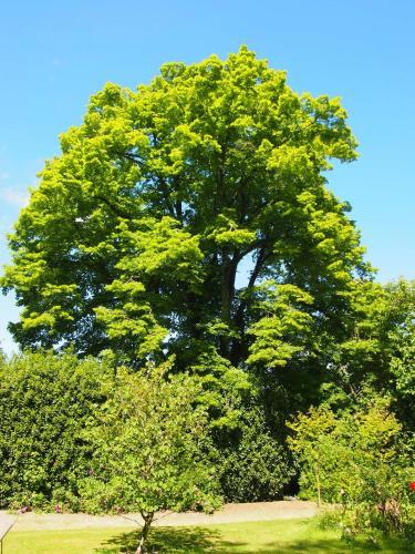 Bed & Breakfast Manoir De Pommery