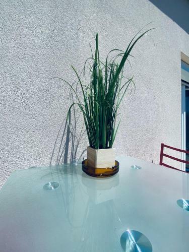 Apartamento Maris