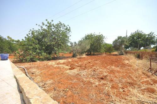 Large Country Villa With Private Pool, Vilamoura
