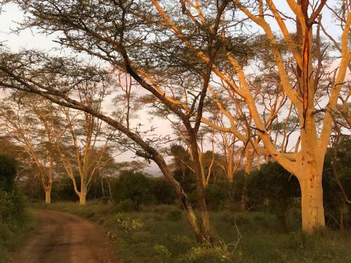 Bed & Breakfast Msunduze River Lodge