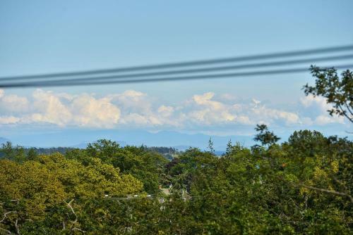 Oak Bay Executive Penthouse