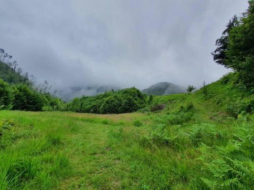 The Green House - Apuseni Mountains