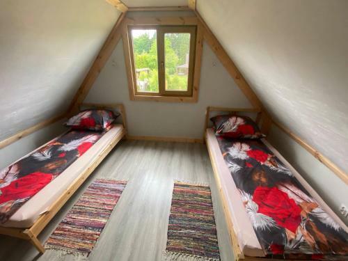 Apartamenty Pszcz�?ka
