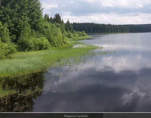 Apartamento Ferienwohnung Waldblick Wallschl�ger