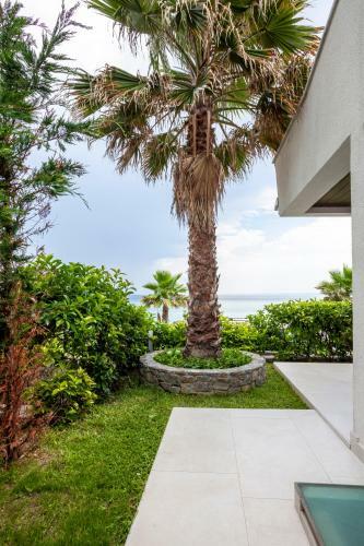 Villa Almyra On The Beach