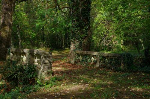 Bed & Breakfast Ch�teau D'argentonesse