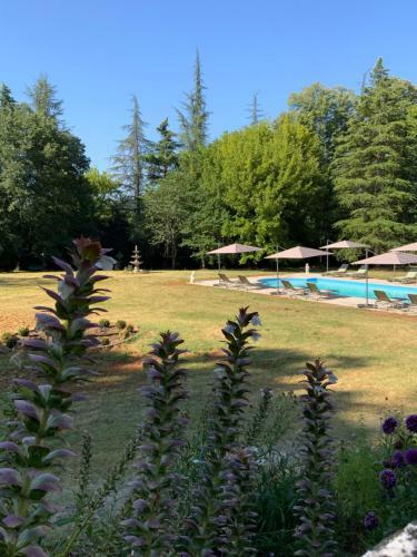 Bed & Breakfast Ch�teau D'argentonesse