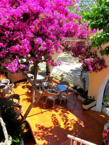 Hotel De La Plage Santa Vittoria