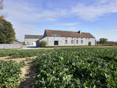 La Ferme De Behoute