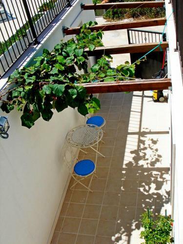 Apartamentos Villa Julia