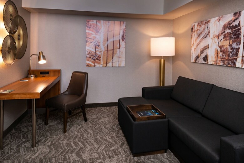 Hotel Springhill Suites By Marriott Pittsburgh North Shore