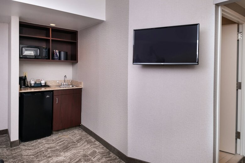 Hotel Springhill Suites By Marriott Pittsburgh North Shore