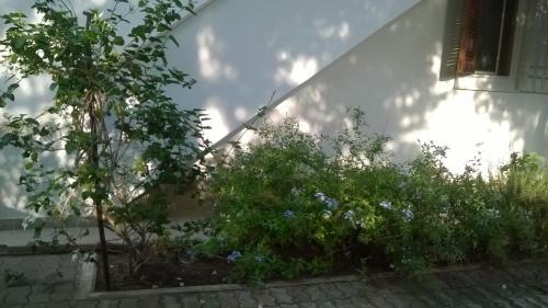 Bed & Breakfast Villa Brigida