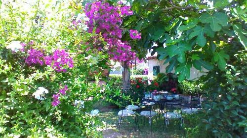 Apartamento Casa Di Elena
