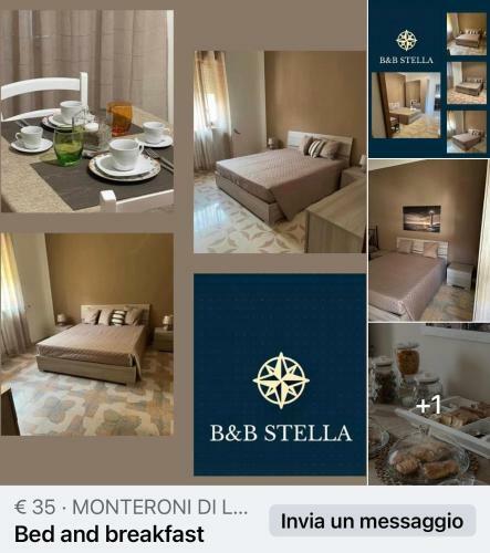 B&B Stella