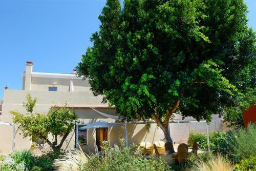 Bed & Breakfast Casa Mediterranea