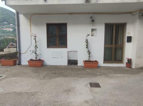 Apartamento Al Gelsomino, House In Agerola