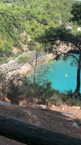 Vieste, Pugnochiuso, Belvedere F1